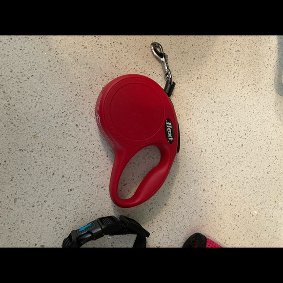 Flexi retractable leash & Jump Mesh harness - Picture 2 of 2